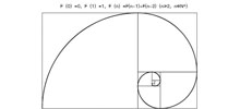 斐波那契螺旋线：黄金比例的实际应用